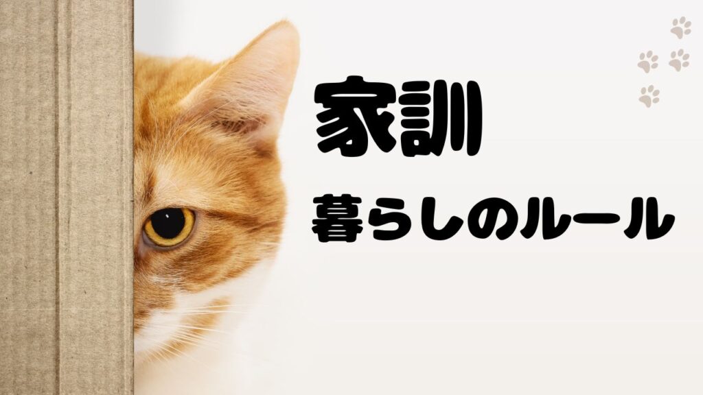 15人大家族をまとめる家訓・暮らしのルール