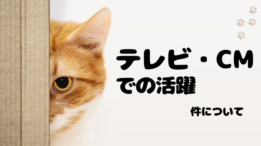 テレビ・CM・冠番組で広がるひょうろくの活躍