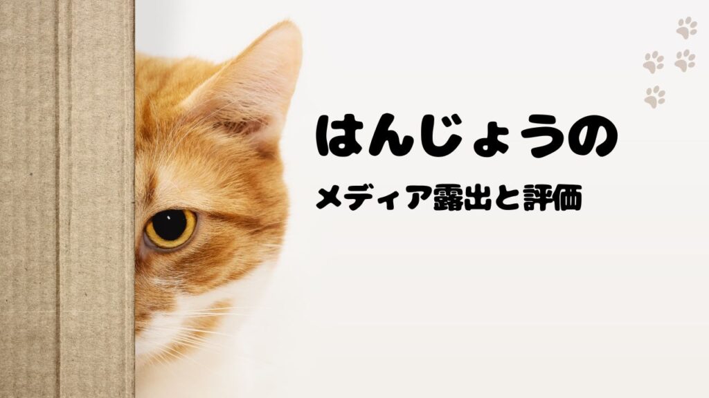 大会・イベント・メディア露出と評価
