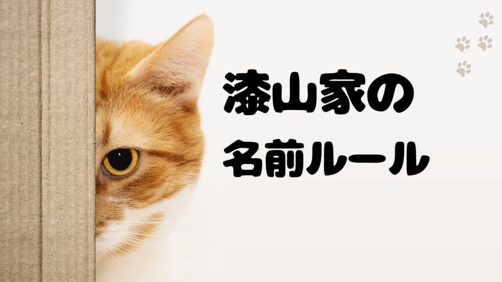 漆山家の名前ルール｜男女で異なる命名スタイル