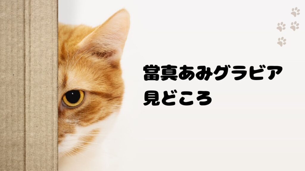 當真あみグラビア写真集Amiとサンデー表紙の見どころ徹底ガイド