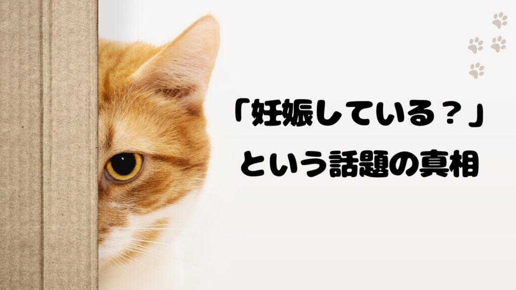 「妊娠している？」という話題の真相