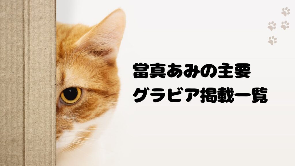 當真あみの主要グラビア掲載一覧