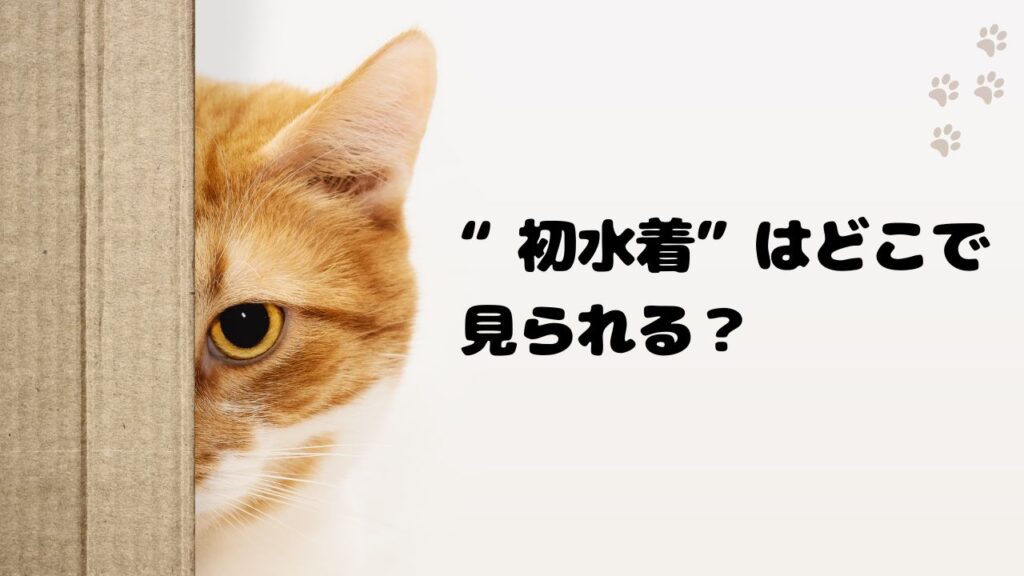 當真あみの“初水着”はどこで見られる？