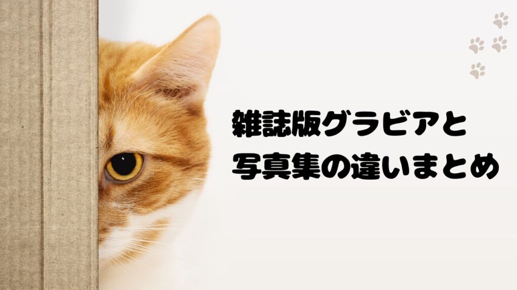 雑誌版グラビアと写真集の違いまとめ